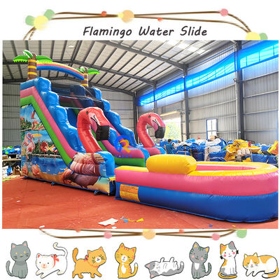 Maximale capaciteit 100-500 kg opblaasbare waterslide met zwembad en spannend Flamingo-ontwerp
