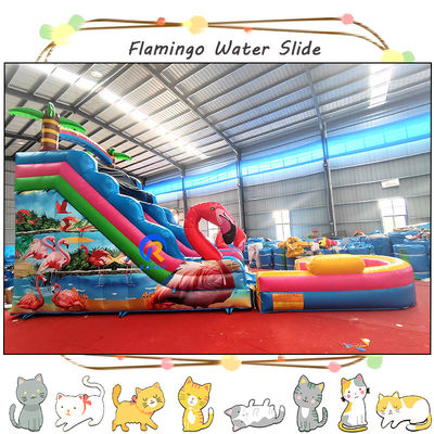 Maximale capaciteit 100-500 kg opblaasbare waterslide met zwembad en spannend Flamingo-ontwerp
