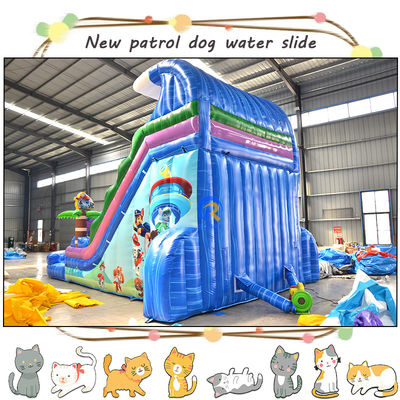 Vermaak kinderen met 3D Paw-patrouilles opblaasbare waterglijbaan en zwembad dubbelbaan ontwerp