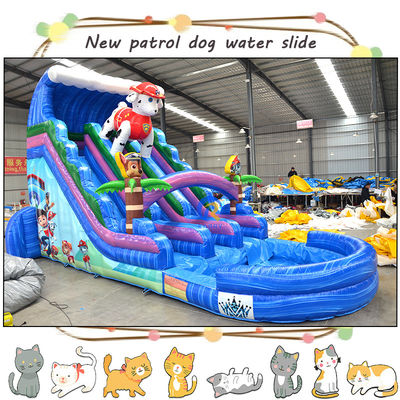 Vermaak kinderen met 3D Paw-patrouilles opblaasbare waterglijbaan en zwembad dubbelbaan ontwerp