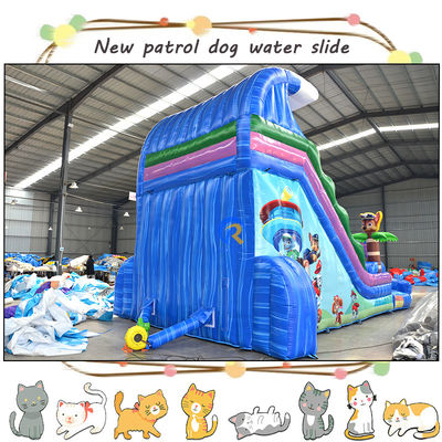 Vermaak kinderen met 3D Paw-patrouilles opblaasbare waterglijbaan en zwembad dubbelbaan ontwerp