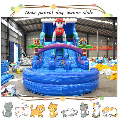 Vermaak kinderen met 3D Paw-patrouilles opblaasbare waterglijbaan en zwembad dubbelbaan ontwerp