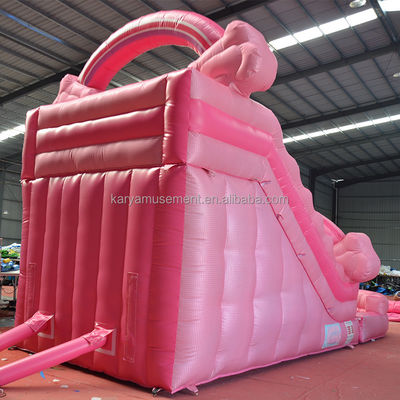 Meisjes Roze opblaasbare 26 voet waterglijbaan perfect voor commerciële huur en plezier