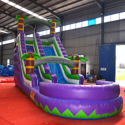 5-10 Passagierscapaciteit 29 voet opblaasbare waterslide met zwembad CE/EN71/EN14960 Goedgekeurd