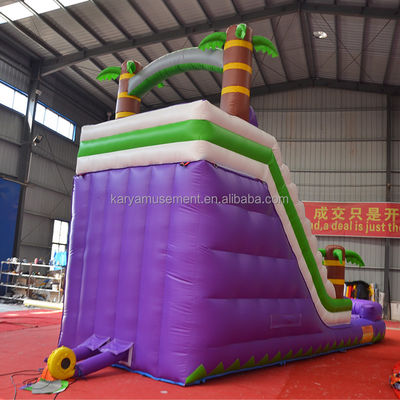 5-10 Passagierscapaciteit 29 voet opblaasbare waterslide met zwembad CE/EN71/EN14960 Goedgekeurd