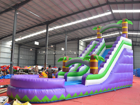 5-10 Passagierscapaciteit 29 voet opblaasbare waterslide met zwembad CE/EN71/EN14960 Goedgekeurd