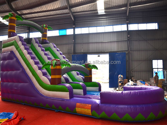 5-10 Passagierscapaciteit 29 voet opblaasbare waterslide met zwembad CE/EN71/EN14960 Goedgekeurd