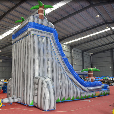 Digitaal afdrukken Commercieel PVC-doek opblaasbare waterslide met speeltuin voor kinderen