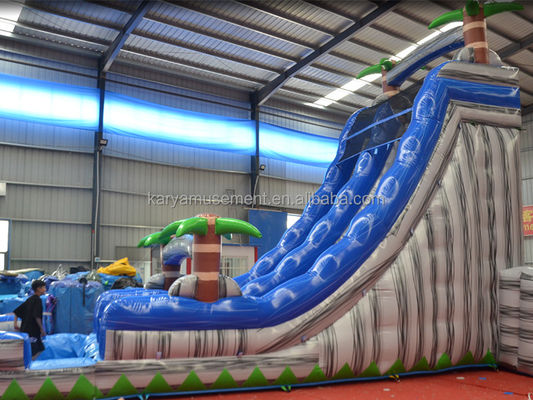 Digitaal afdrukken Commercieel PVC-doek opblaasbare waterslide met speeltuin voor kinderen