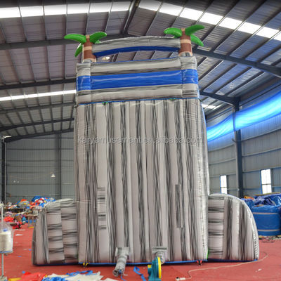 Digitaal afdrukken Commercieel PVC-doek opblaasbare waterslide met speeltuin voor kinderen