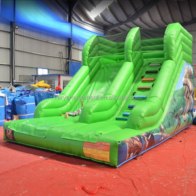 Maximale capaciteit 100-500 kg opblaasbare kleine glijbaan waterpark voor kinderen