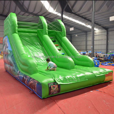 Maximale capaciteit 100-500 kg opblaasbare kleine glijbaan waterpark voor kinderen