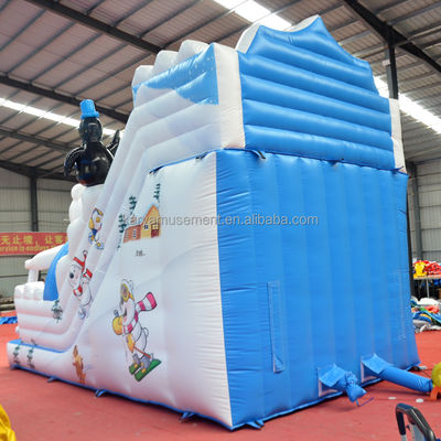 Gepersonaliseerde kleuren opblaasbare waterslide voor plezier op Polar Lake Maximum capaciteit 100-500kg