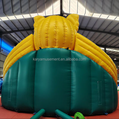 Persoonlijke kleur PVC olifant thema opblaasbare waterpark combo glijbaan voor speeltuin