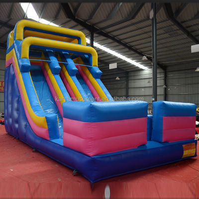Digitaal afdrukken Commerciële kwaliteit PVC waterpark 2 lijn waterglijbaan voor volwassenen en kinderen