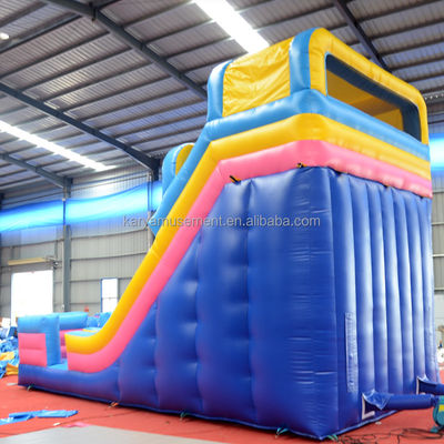 Digitaal afdrukken Commerciële kwaliteit PVC waterpark 2 lijn waterglijbaan voor volwassenen en kinderen