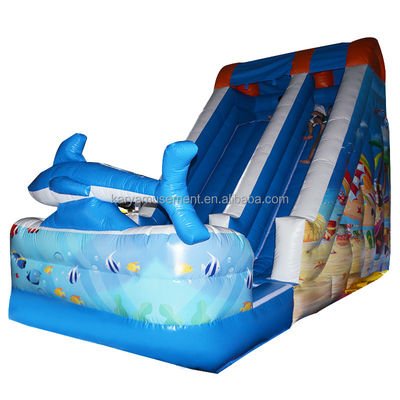 Ervaar de opwinding van onze stijl opblaasbare waterslide met Pool Shipping Worldwide