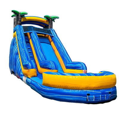 Maximale capaciteit 100-500 kg Volwassen palmboom opblaasbare waterparkapparatuur met zwembad