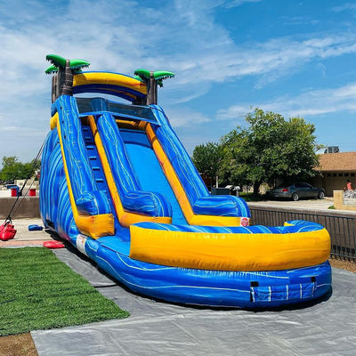 Maximale capaciteit 100-500 kg Volwassen palmboom opblaasbare waterparkapparatuur met zwembad