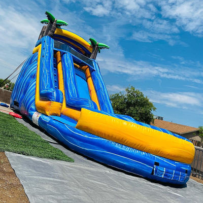 Maximale capaciteit 100-500 kg Volwassen palmboom opblaasbare waterparkapparatuur met zwembad