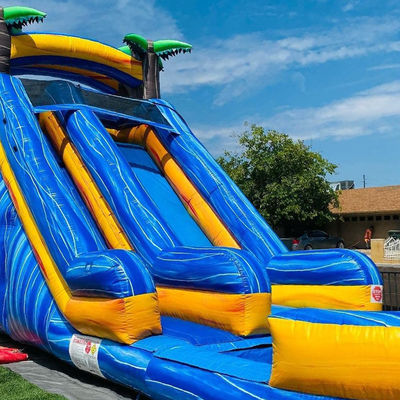 Maximale capaciteit 100-500 kg Volwassen palmboom opblaasbare waterparkapparatuur met zwembad