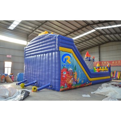 Blauw opblaasbaar bouncy kasteel speeltuin voor kinderen OEM aanvaard klassiek cartoon ontwerp