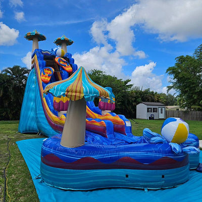 Stimulerende oceaankleur waterglijspellen PVC opblaasbaar met groot bloemvormig zwembad