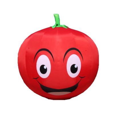 Aantrekkelijke opblaasbare aardbeien- en citroenmodellen voor reclame