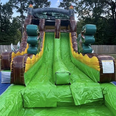 Laat je verbeelding los Tropische jungle Dino thema waterglijbaan met Splash Pool Fun