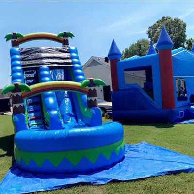 CE/EN71/EN14960 Gecertificeerd 30ft buitenwaterpark Blauwe tropische palmbomen waterglijbaan voor 5-10 passagiers