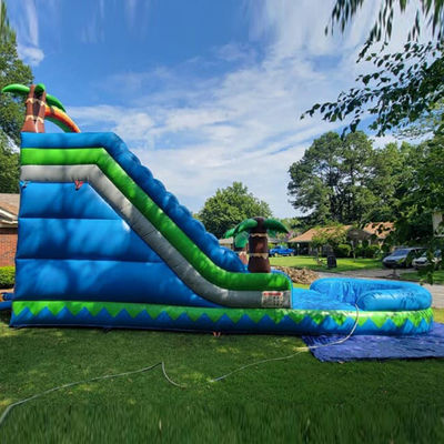 CE/EN71/EN14960 Gecertificeerd 30ft buitenwaterpark Blauwe tropische palmbomen waterglijbaan voor 5-10 passagiers