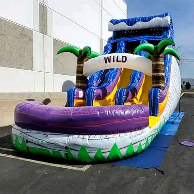Grote zwembad Kinderen springglijbaan Huisfeest Commerciële tropische palmbomen Waterglijbaan met twee glijbaan