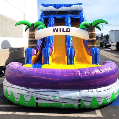 Grote zwembad Kinderen springglijbaan Huisfeest Commerciële tropische palmbomen Waterglijbaan met twee glijbaan