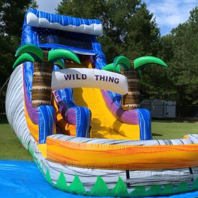 Grote zwembad Kinderen springglijbaan Huisfeest Commerciële tropische palmbomen Waterglijbaan met twee glijbaan