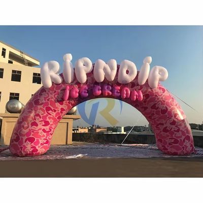Op maat gemaakte bedrijfsbijeenkomsten Buitenopblaasbare boog met dolfijnthema reclame