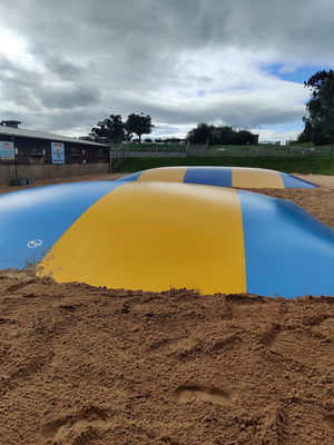 Commerciële PVC opblaasbare springwolk kleurrijke springkussens voor kinderen en volwassenen