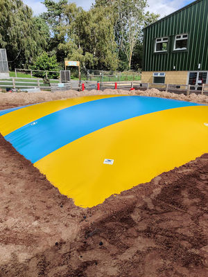 Commerciële PVC opblaasbare springwolk kleurrijke springkussens voor kinderen en volwassenen
