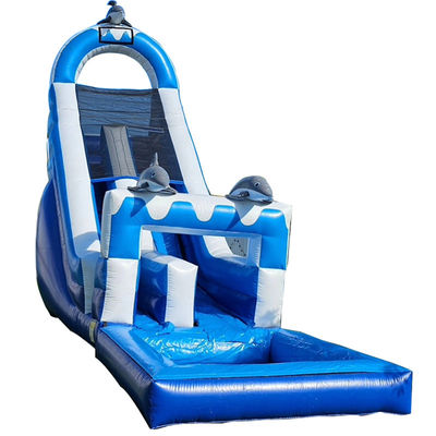 0.55mm PVC Tarpaulin Grote Dolfijnthema opblaasbare waterslide met afneembare zwembad