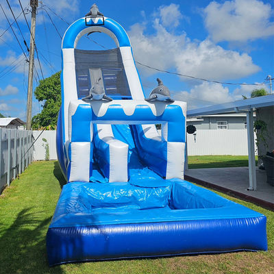 0.55mm PVC Tarpaulin Grote Dolfijnthema opblaasbare waterslide met afneembare zwembad