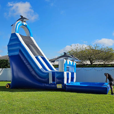 0.55mm PVC Tarpaulin Grote Dolfijnthema opblaasbare waterslide met afneembare zwembad