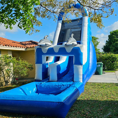 0.55mm PVC Tarpaulin Grote Dolfijnthema opblaasbare waterslide met afneembare zwembad