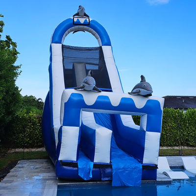 0.55mm PVC Tarpaulin Grote Dolfijnthema opblaasbare waterslide met afneembare zwembad