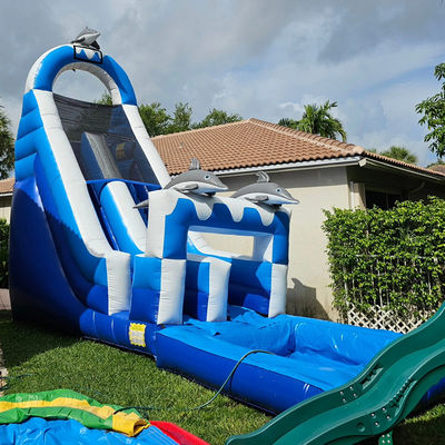 0.55mm PVC Tarpaulin Grote Dolfijnthema opblaasbare waterslide met afneembare zwembad