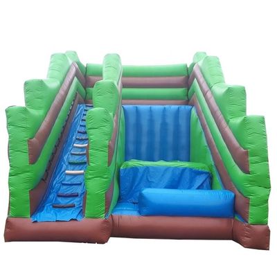 Unisex Family Garden opblaasbare glijspel CE Blower en reparatie accessoires inbegrepen