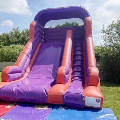 Achtertuin springen springen droog glijbaan voor kinderen en volwassenen Indoor PVC Purple Water Glijbaan
