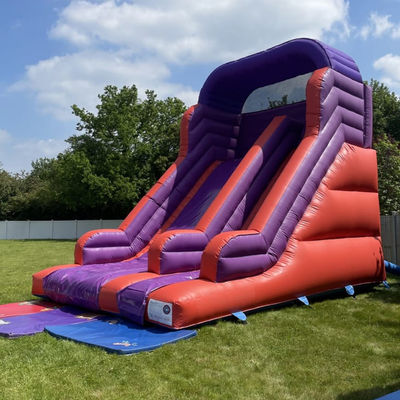 Achtertuin springen springen droog glijbaan voor kinderen en volwassenen Indoor PVC Purple Water Glijbaan