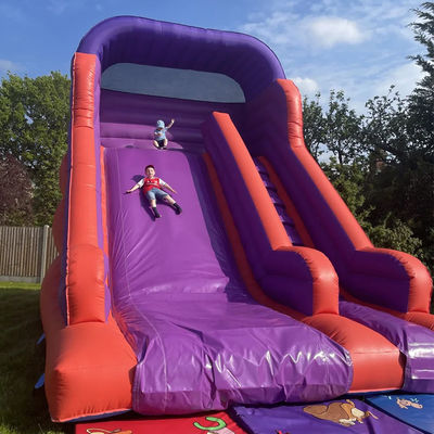 Achtertuin springen springen droog glijbaan voor kinderen en volwassenen Indoor PVC Purple Water Glijbaan