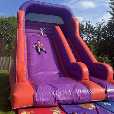 Achtertuin springen springen droog glijbaan voor kinderen en volwassenen Indoor PVC Purple Water Glijbaan