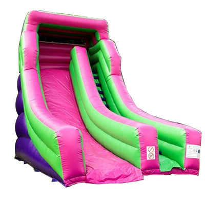 Grote opblaasbare droge glijbaan in aangepaste kleur voor commerciële gelegenheden in het waterpark