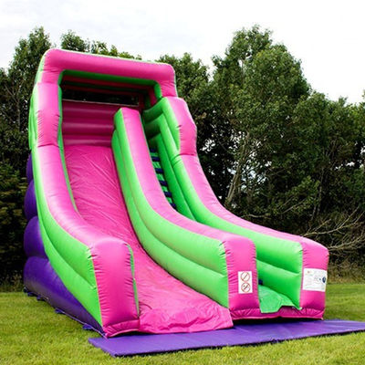Grote opblaasbare droge glijbaan in aangepaste kleur voor commerciële gelegenheden in het waterpark